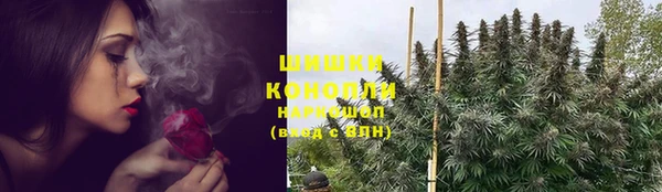 дживик Абаза