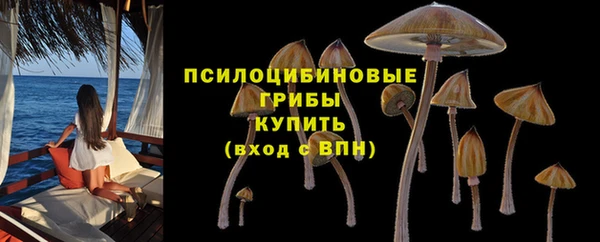таблы Пересвет