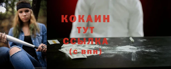 дживик Абаза